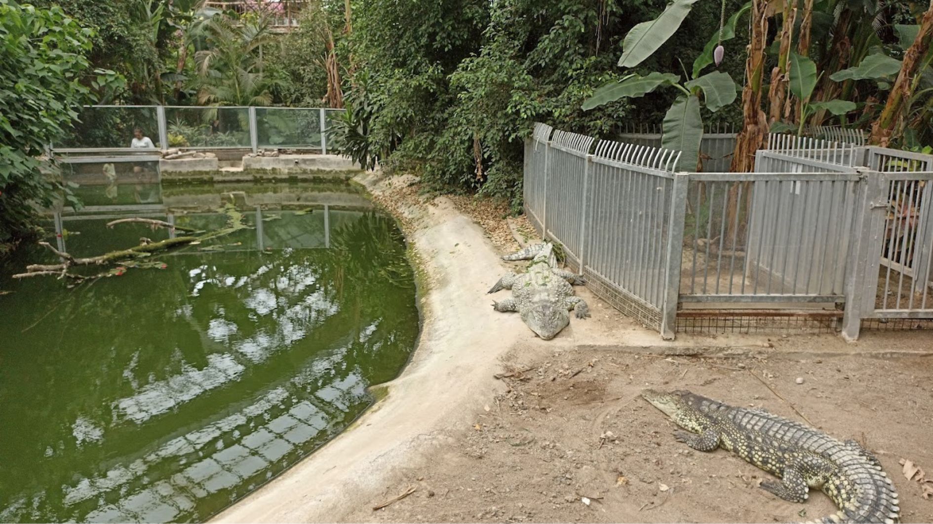Travel Point Image