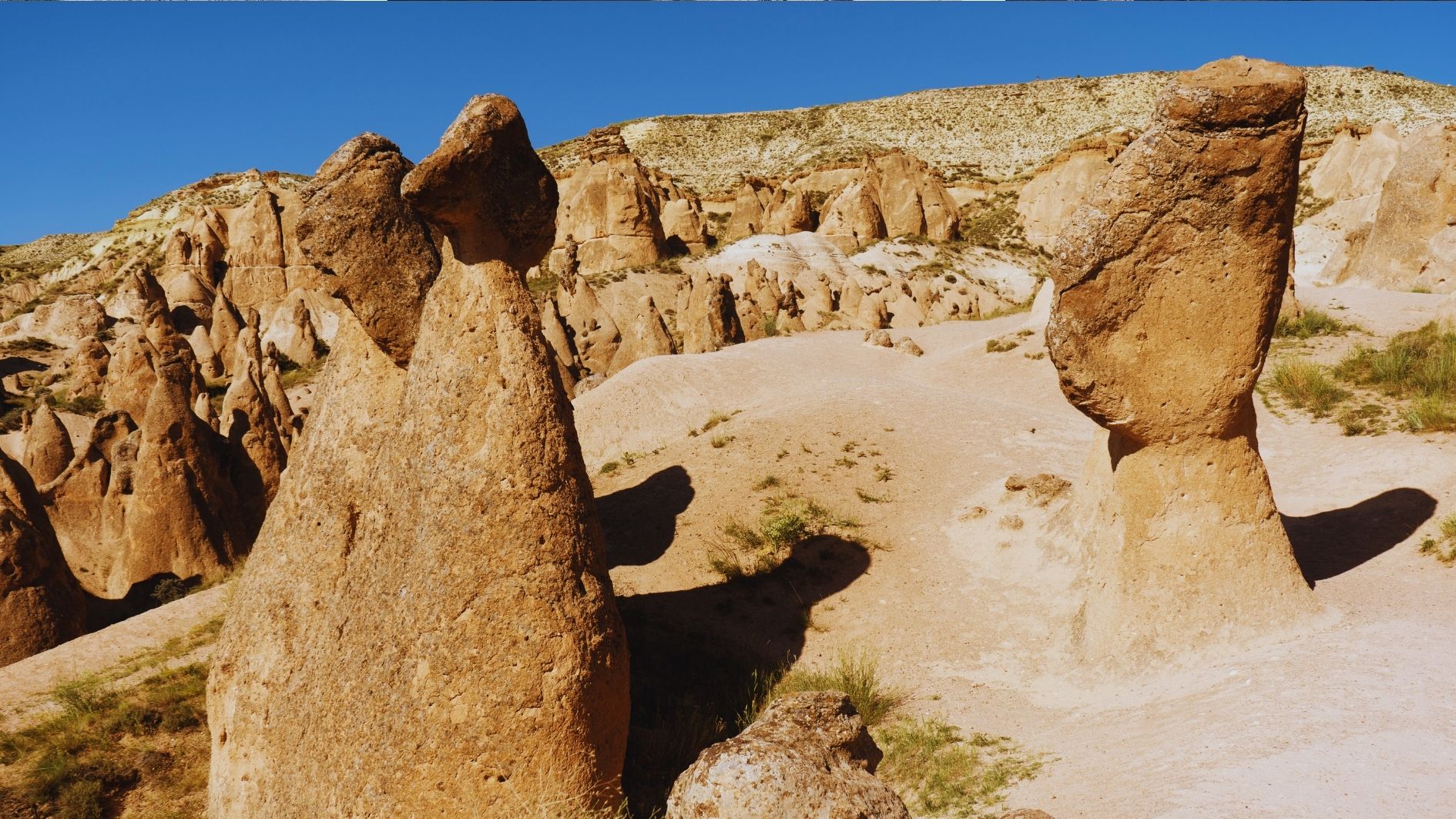 Travel Point Image