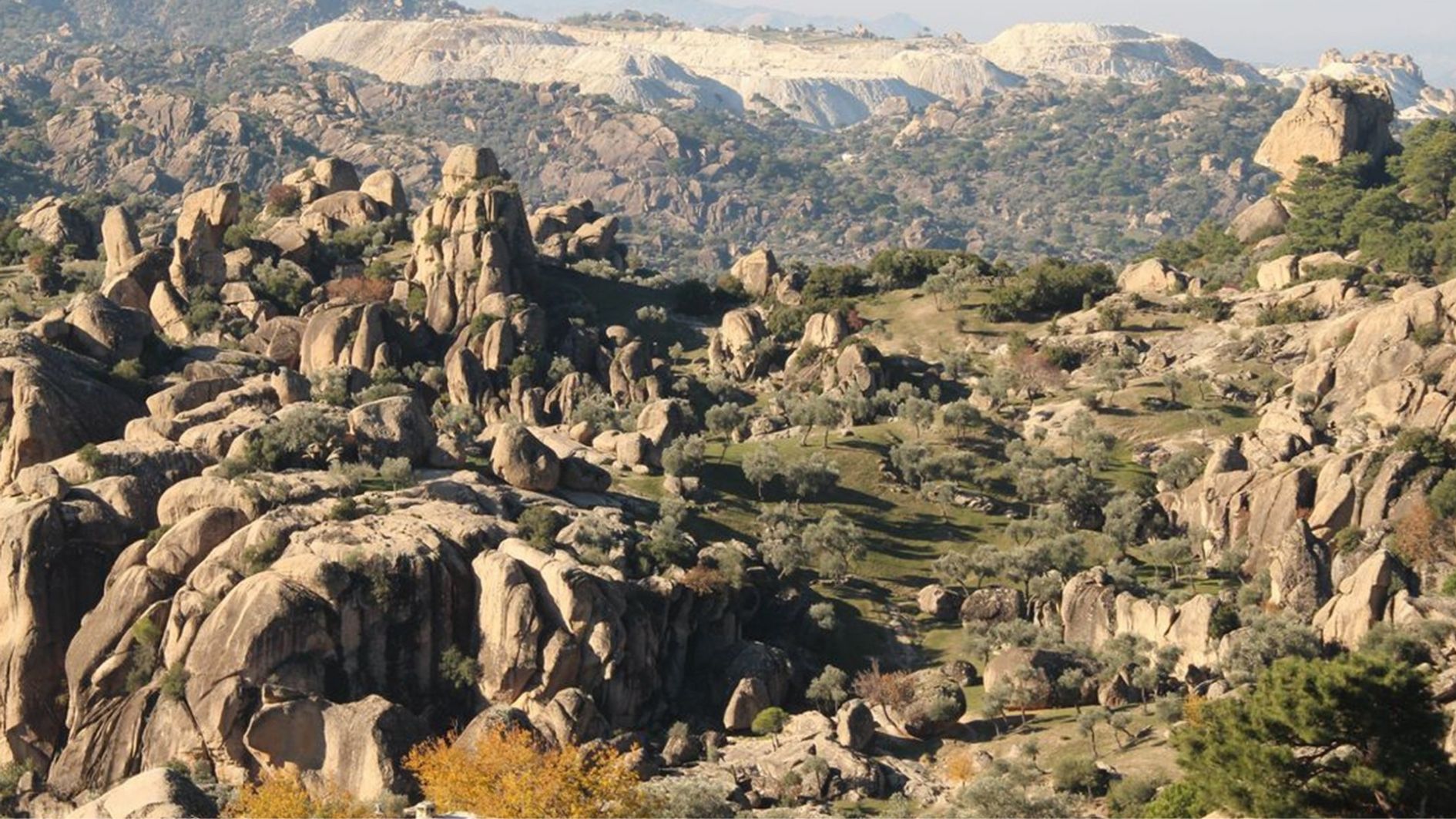 Travel Point Image